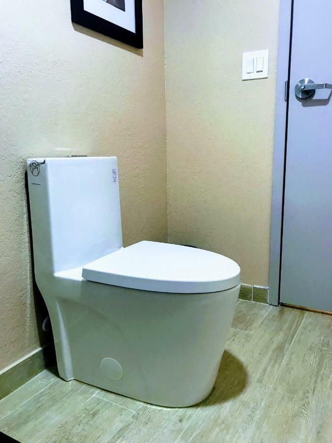 Tropical Inn & Suites, Downtown קלירווטר מראה חיצוני תמונה
